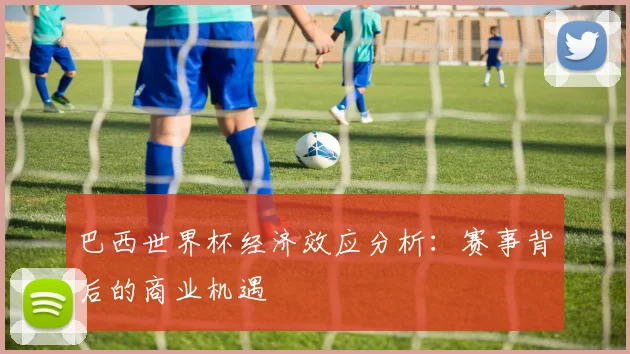 巴西世界杯经济效应分析：赛事背后的商业机遇
